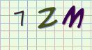 This is a captcha-picture. It is used to prevent mass-access by robots. (see: www.captcha.net)